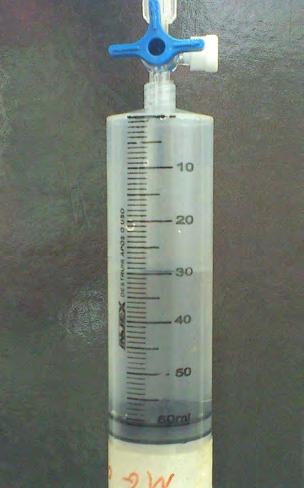 Mais 30 ml de ar ambiente são acrescentados à seringa (Figura 2c).