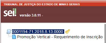 7. INCLUSÃO DO ATESTADO DE ANTECEDENTES CRIMINAIS NA ÁRVORE DE DOCUMENTOS DO PROCESSO NO SEI 7.