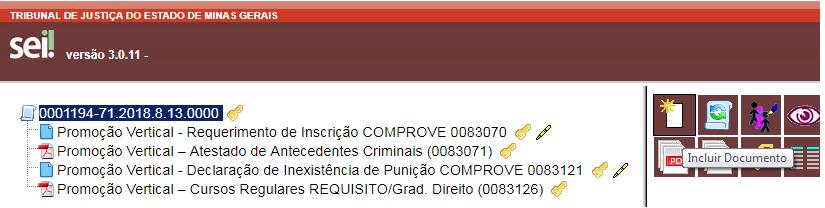 10. INCLUSÃO DE CURSO REGULAR / TÍTULO NA ÁRVORE DE DOCUMENTOS DO PROCESSO NO SEI 10.