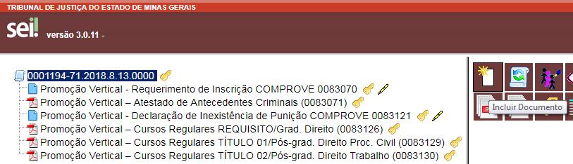 11.2 Selecionar a opção Incluir Documento: 11.3 Em Gerar Documento, verificar se a opção Promoção Vertical Cursos Regulares está disponível na tela.