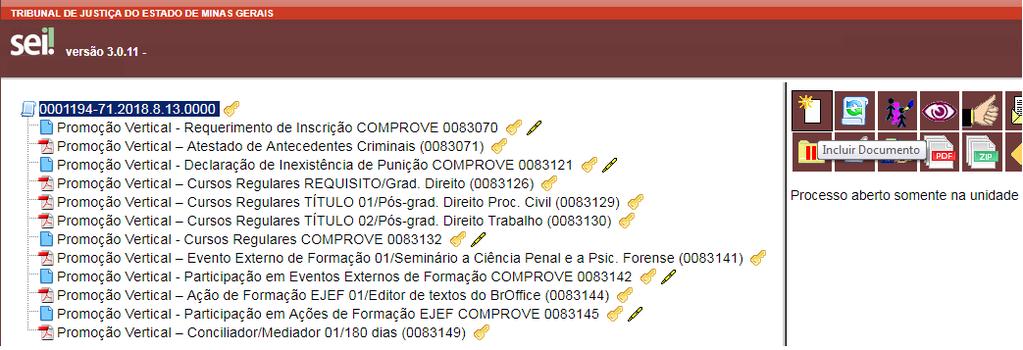 17.2 Selecionar a opção Incluir Documento: 17.3 Em Gerar Documento, verificar se a opção Promoção Vertical-Atuação como Conciliador/Mediador está disponível na tela.