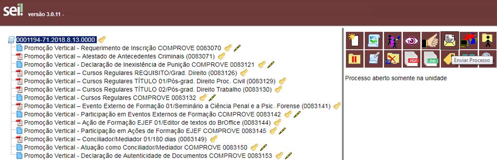 19. ENCAMINHAMENTO DO PROCESSO CLASSIFICATÓRIO DE PROMOÇÃO VERTICAL PARA COMPROVE PV 1ª INSTÂNCIA, QUANDO SE TRATAR DE SERVIDOR DO QUADRO DE PESSOAL DA JUSTIÇA DE 1ª INSTÂNCIA OU PARA A UNIDADE