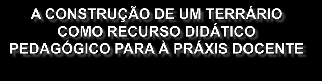 GULARTE, C.A.O ¹; SOARES, C.B.¹; ESCOTO, D.