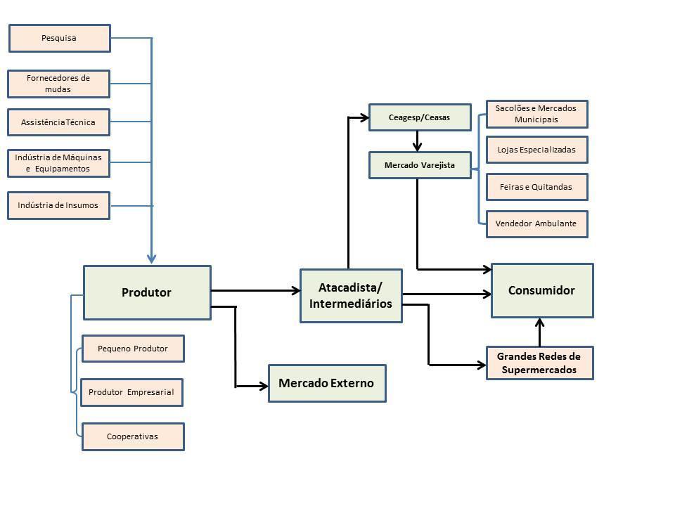 Os produtores que possuem maior estrutura entregam sua produção diretamente nas centrais de abastecimento, redes de supermercados ou exportam.