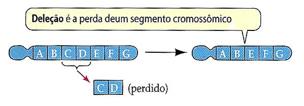 Deleção As deleções removem parte do material genético.