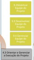 Executando o Projeto Executar o projeto conforme planejado.