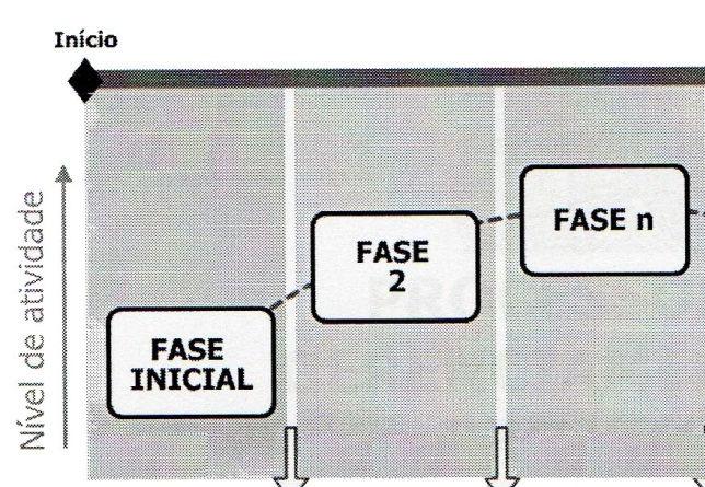 Processos de Gerenciamento de Projetos Iterações entre os Grupo de Processos de GP ( Ciclo de vida do Gerenciamento de Projeto ) INICIAÇÃO IN MONITORAÇÃO E CONTROLE PL