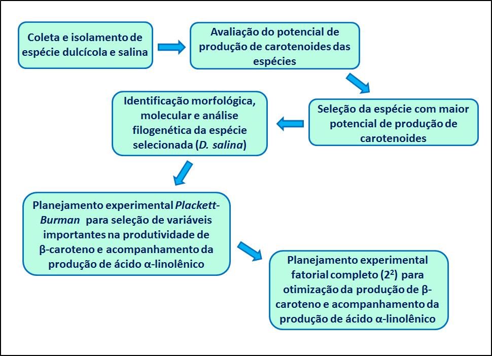 82 detectada pelo espectrômetro de massas. O LQ foi calculado de acordo com o item 5.4.10. A faixa usada compreendeu as concentrações de 0,1 a 1 mg/ml (apêndice G).