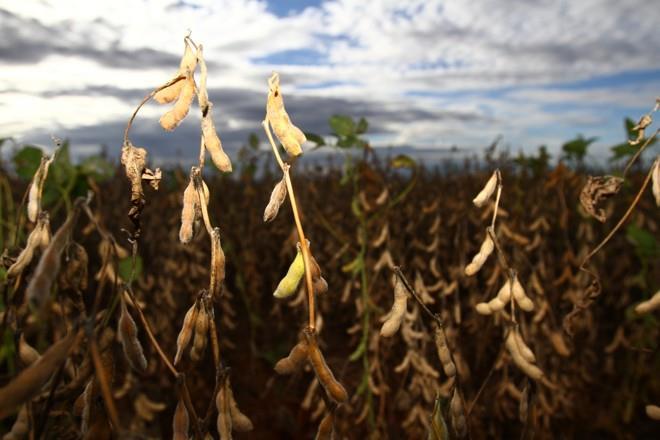 LA NIÑA: fenômeno que atuou durante o último Verão, já está totalmente enfraquecido e o Inverno transcorre sob um período de transição climática, sem previsão de inverno extremo.