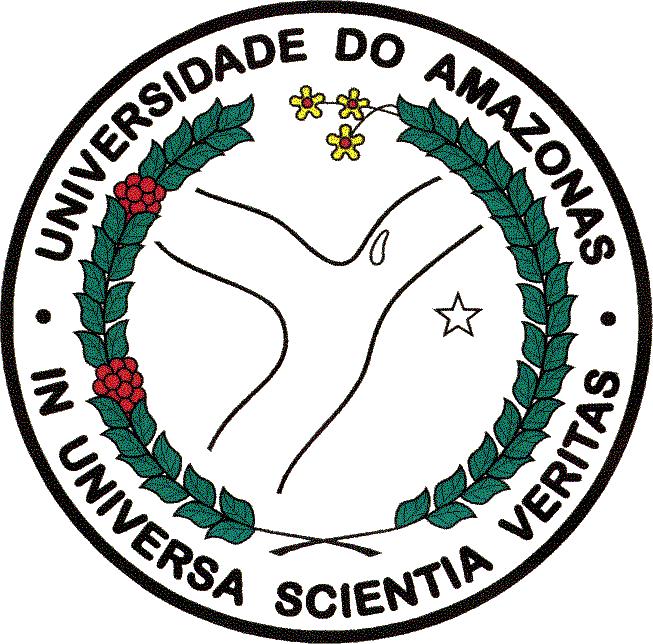 Universidade Federal do Amazonas Faculdade de Tecnologia Programa de Pós-Graduação em Engenharia Elétrica Roteamento baseado em