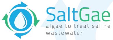 SaltGae está a desenvolver uma solução inovadora e eficaz para o tratamento de águas residuais salinas usando uma combinação de tratamentos com tecnologia de algas,