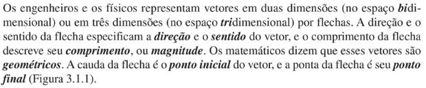 Quadro 8: Definição de vetor. Fonte: LIVRO 01, p.6.