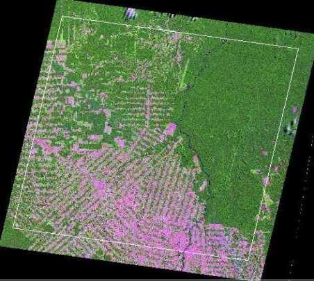 PRODES Digital (2003 2006) Base: imagem Landsat Procedimentos: Preparação de banco de dados