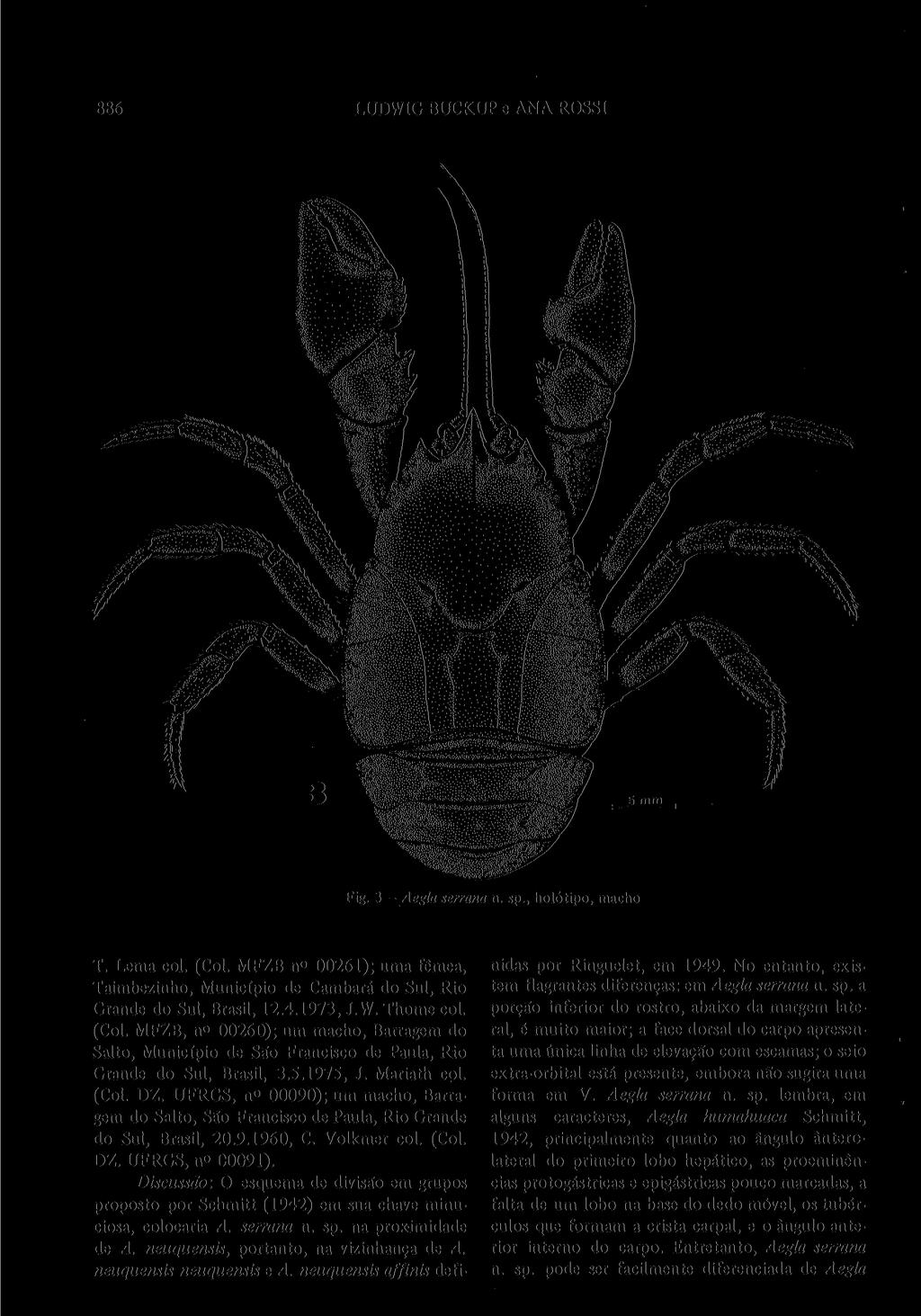 886 LUDWIG BUCKUP e ANA ROSSI T. Lema col. (Col. MFZB n 00261); uma fêmea, Taimbezinho, Município de Cambará do Sul, Rio Grande do Sul, Brasil, 12.4.1973, J.W. Thome col. (Col. MFZB, n 00260); um macho, Barragem do Salto, Município de São Francisco de Paula, Rio Grande do Sul, Brasil, 3.