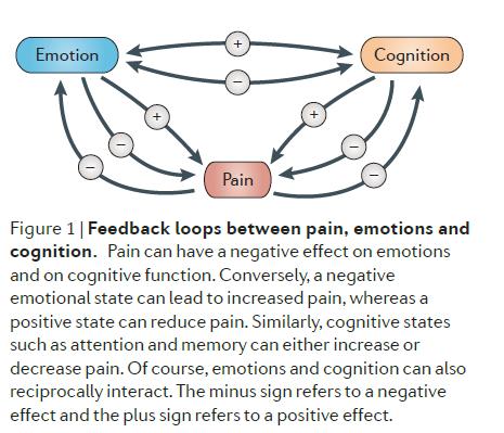Emoção Cognição Dor Figura 1 Alças de feedback entre dor, emoções e cognição. Dor pode ter um efeito negativo nas emoções e na função cognitiva.