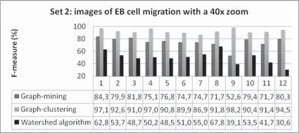 cryosection (conjunto 1) (b)images de migração celular de EB