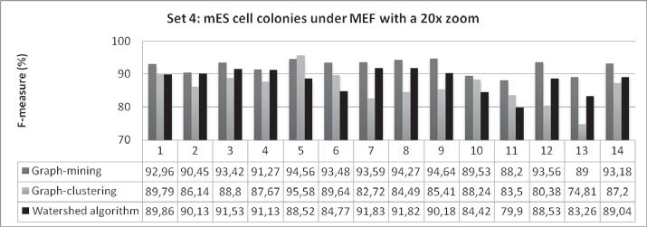 (e)imagens de colônias de células mes sobre MEF com aumento