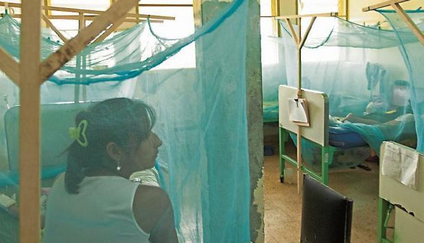 PERU A Dengue dispara em Piura com 66 casos confirmados Os casos de dengue dispararam em Piura.