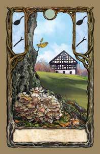 Sofre dos efeitos da poluição ambiental. (Morchella esculenta): cogumelo comestível muito apreciado que está sujeito às leis de conservação ambiental na Alemanha.