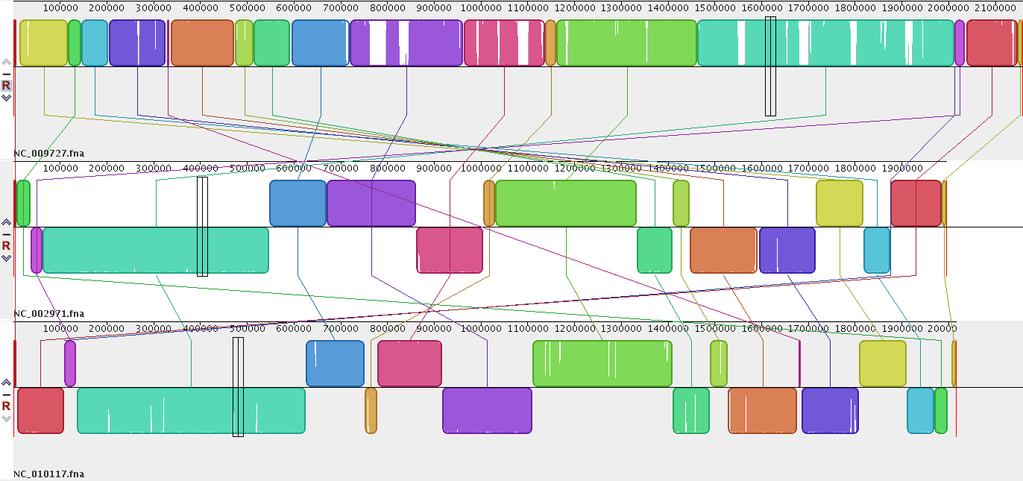 Chromosome alignment MAUVE Dugway RSA
