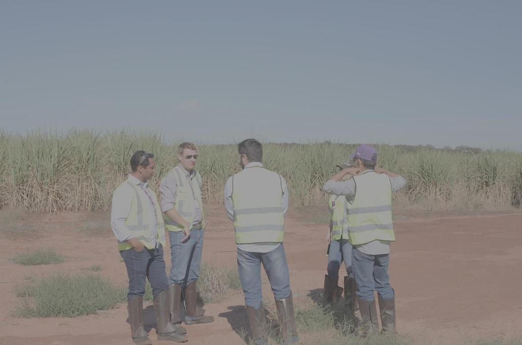 Naiara Denuncio Gestora de operações da unidade Gasa Raízen MELHORIA DA GESTÃO DA EQUIPE DE CAMPO Antigamente, nós usávamos planilhas o que gerava problemas