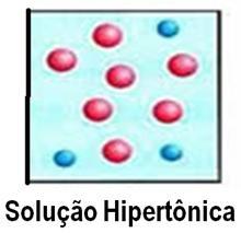 Solução hipotônica: a solução está menos 