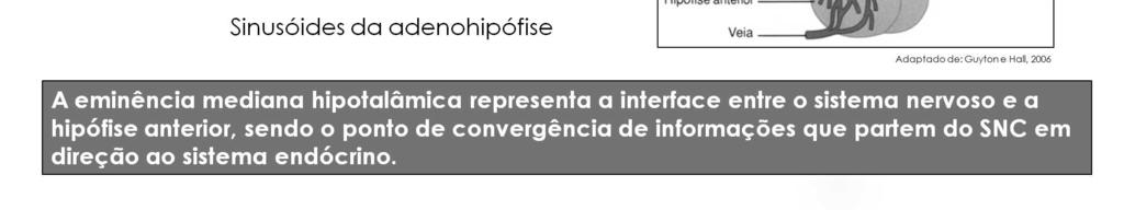 O sangue então flui através de pequenos vasos sanguíneos porta-hipotalâmico-hipofisários para dentro dos sinusoides da região anterior da hipófise.