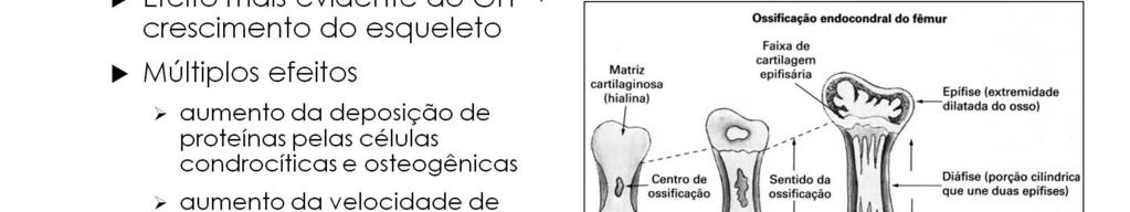 Apesar de o hormônio do crescimento estimular a deposição aumentada de proteínas, e o crescimento em quase todos os tecidos do organismo, seu efeito