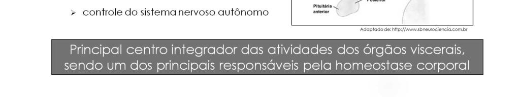 centros cerebrais incluindo o tronco encefálico, complexo