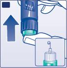 G. Mantendo a agulha para cima, pressione o botão injetor completamente. O seletor de dose retorna a 0 (zero). Uma gota de insulina deve aparecer na ponta da agulha.
