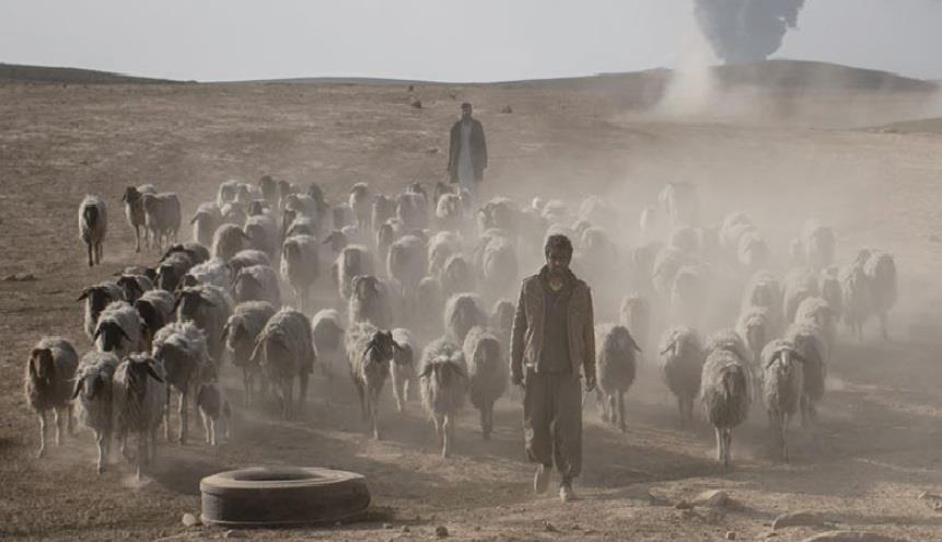 A fome mundial voltou a crescer por consequência dos conflitos armados, das mudanças climáticas e da deterioração da