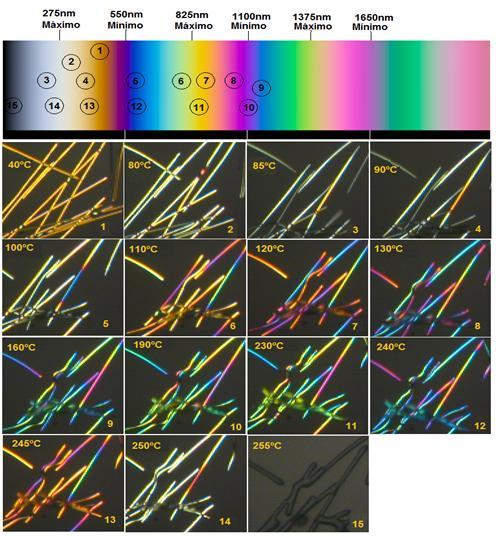 Figura 4:Monitoramento da mudança nas cores de interferência, dos monofilamentos de PET orientados a 45º e sua interpretação na Carta de Cores de Michel-Levy.