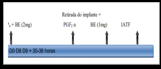 Oliveira et al. 6 Tanto o primeiro quanto o segundo protocolo foram testados em rebanhos da raça Nelore na Embrapa Pecuária Sudeste.