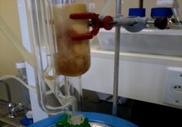 Foi necessário maior cuidado com a temperatura ao se adotar o solvente etanol, para se evitar a saturação do óleo extraído. Os óleos extraídos são apresentados na Figura 3.