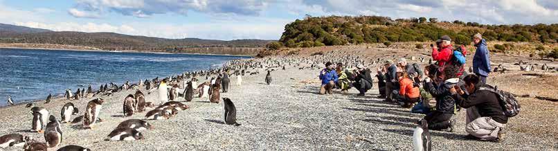 EXPERIENTES GUIAS LOCAIS ARGENTINA E CHILE BUENOS AIRES USHUAIA CRUZEIRO NA PATAGÓNIA TORRES DEL PAINE CALAFATE GLACIAR PERITO MORENO COM CRUZEIRO NA PATAGÓNIA circuito 1º DIA LISBOA OU PORTO/ BUENOS