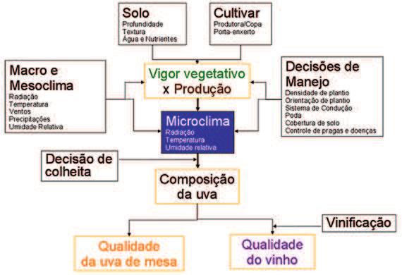 Figura 2.