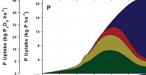 P no Solo e na Planta Fósforo, kg/ha 21 18 15 12 9