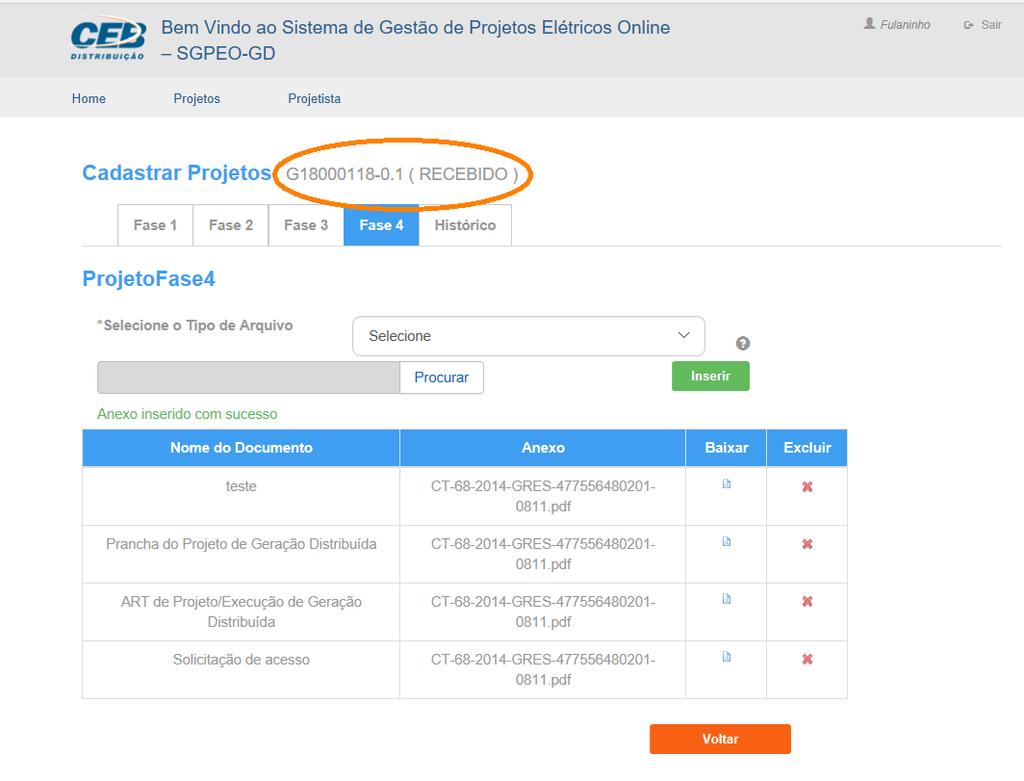 TELA PROJETO INCLUIR FASE 4 STATUS Após incluir o projeto o número da CP é