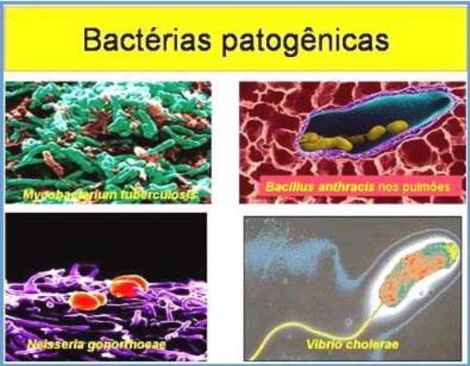 DOENÇA INFECTO - CONTAGIOSA É qualquer doença causada por um