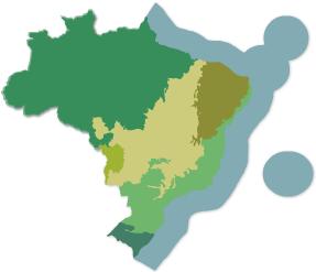 Importância dos Territórios Tradicionais na Proteção da Floresta 70% das florestas remanescentes do Brasil (SFB, 2013) Maior
