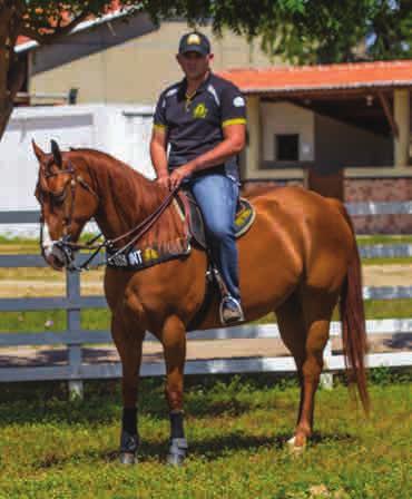 Fotos: Jean Felipe Visualmaker Lele Sus com Alexandro Suassuna Na primeira edição do Napoleon Fest, LELE SUS se destacou como a campeã da prova.