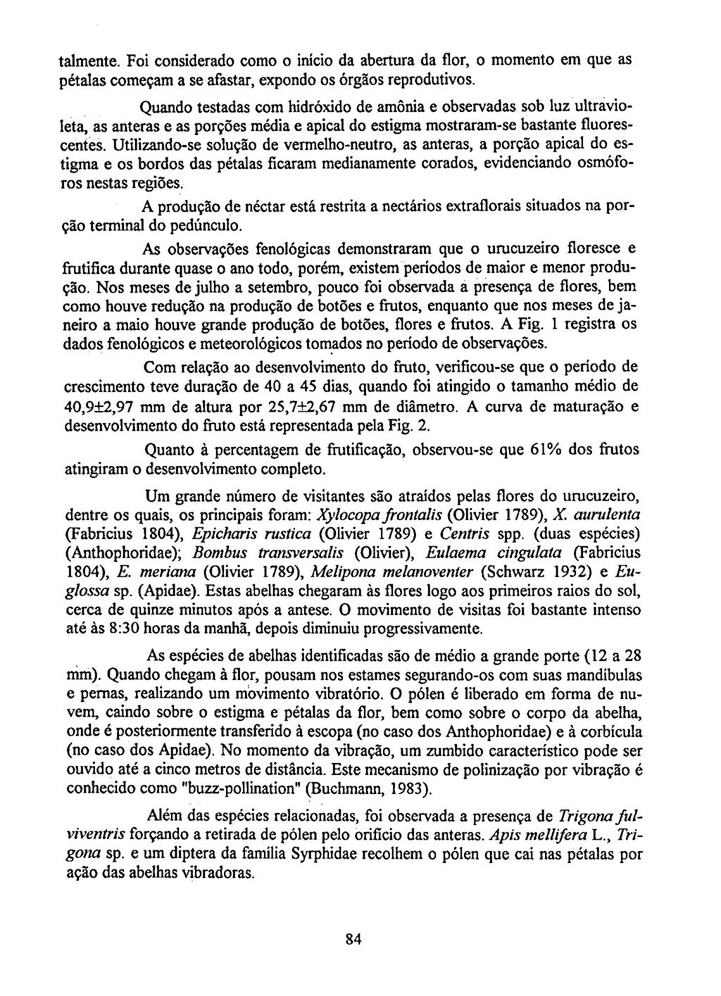 talmente. Foi considerado como o início da abertura da flor, o momento em que as pétalas começam a se afastar, expondo os órgãos reprodutivos.