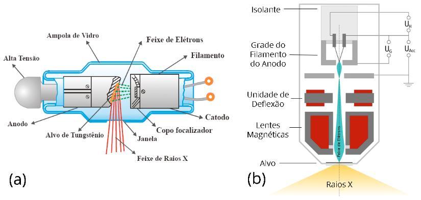 forte campo elétrico dentro de um tubo a vácuo, quando estes colidem com um alvo, o anodo. A desaceleração dos elétrons com alta energia gera a radiação de frenamento (Bremsstrahlung).