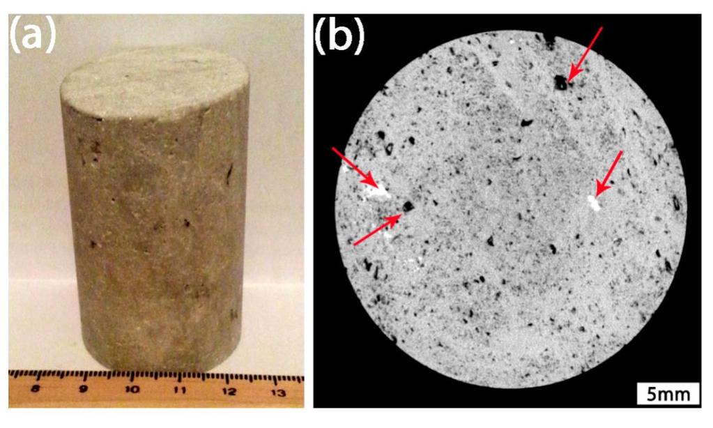 Figura 26: (a) amostra de dolomito; (b) imagem microtomográfica, com identificação de poros e materiais densos pelas setas vermelhas.