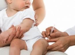 15 meses Vacina contra Hepatite A Doenças evitadas: Hepatite A Idade de aplicação: idade máxima até 23