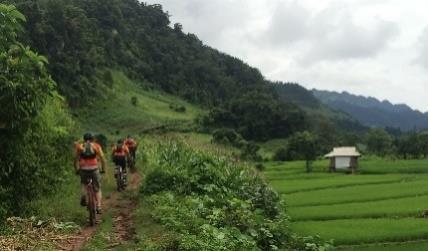 No final do trajeto um transfer (16km) nos deixa na aldeia onde passaremos a noite. 45km, + 1500m DIA 5 BAC HA CAN CAU BAC HA Após um belo pequeno-almoço um transfer leva-nos até Si Ma Cai (20km).