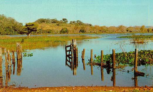 Por Os garimpos ser uma área clandestinos plana, asde estradas ouro provocam foram construídaso assoreamento acimados nível Com daa planície, expansão rios e criando,