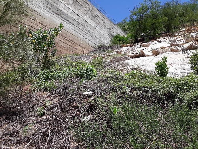 inspeção da barragem.