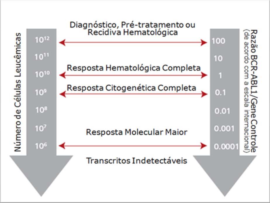 34 A expressão resposta molecular maior (RMM) representa o objetivo maior a ser alcançado no tratamento com os ITQ.