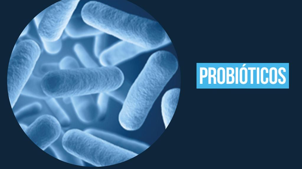 Probióticos Microrganismos vivos, que se ingeridos em quantidades adequadas, conferem benefícios à saúde do hospedeiro.